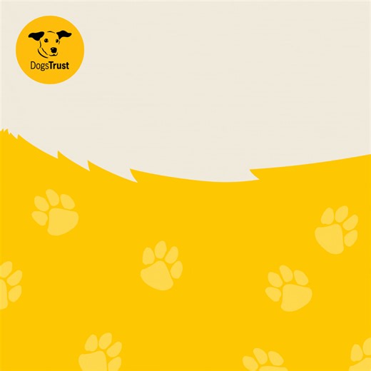 📣 CALLING ALL WALKERS! 📣 Sign up and walk 𝟲𝟮 𝗠𝗶𝗹𝗲𝘀 𝗶𝗻 𝗗𝗼𝗴𝘁𝗼𝗯𝗲𝗿 to help give thousands of dogs the second chance they deserve. 🐶💛 Register today and get your paws on a FREE T-shirt. Every mile makes a difference! | Dogs Trust