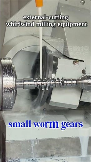 Whirlwind milling machine for processing small worm gears#wormgear #millingmachines #whirlwind