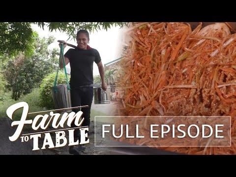 Chef JR Royol's KIMCHI RECIPE! | Farm To Table (Stream Together)