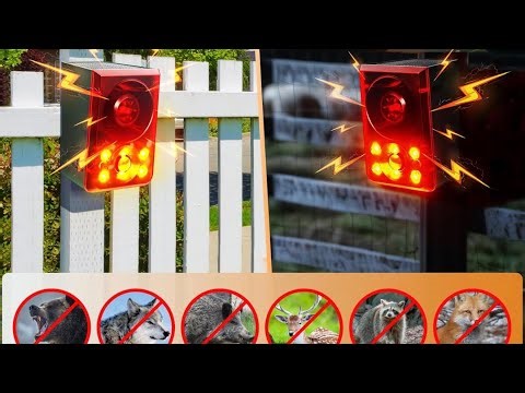 Best Solar Motion Sensor Alarm for Animals & Intruders (Dog Barking + Gunshot Sound Protection)