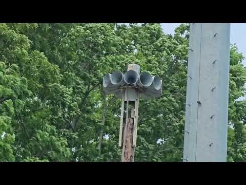Federal Signal STH-10 at Ramtown-Howell Fire Company #2 in Howell Township, NJ