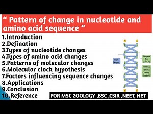Pattern of change in nucleotide and amino acid sequences | Types | Patterns of molecular changes