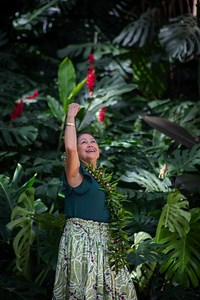 🌺 Immerse yourself in the rich traditions of mele oli and mele hula with our Ka ʻAha Hula i Waimea program! Experience captivating performances by new hālau, included with your Waimea Valley admission. Join us at the Upper Meadow every Saturday at 11 AM and 1 PM. Don't miss this celebration of Hawaiian culture! #WaimeaValley #wherehawaiicomesalive #KaAhaIHula #HulaInTheValley | Waimea Valley