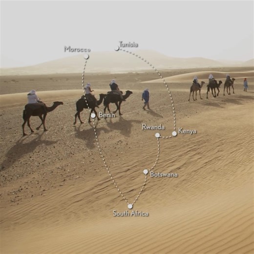 Discover the wonders of Africa like never before on Africa: Across a Continent by Private Jet, Feb 4-26, 2025. 🌍 Explore ancient ruins in Tunisia, search for mountain gorillas in Rwanda, and experience the vibrant culture of Marrakech. 🦁 Enjoy exclusive wildlife encounters in the Masai Mara and Botswana’s Chobe National Park and choose from activities in South Africa like wine tasting and helicopter tours. 🌟 With just 48 guests, travel in style aboard a chartered Boeing 757, guided by the exp