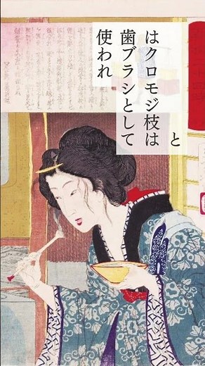 日本の森のアロマ代表・クロモジ