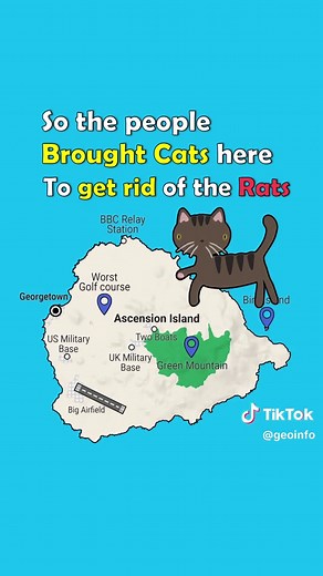 Ascension Island Travel Guide: Activities and Attractions