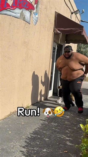 Hilarious Fake Dog Prank That Will Make You Laugh