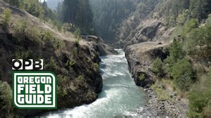 Condit Dam 10 years later