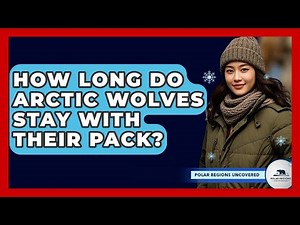 How Long Do Arctic Wolves Stay With Their Pack? - Polar Regions Uncovered