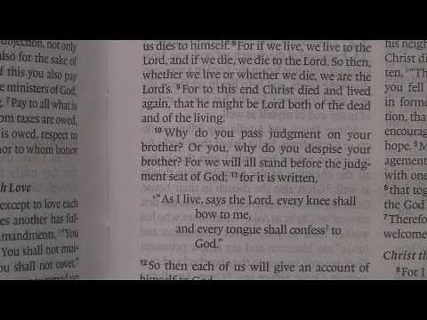 Romans, Chapter 14 (ESV)