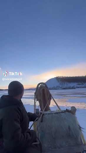 【モンゴルの冬、馬ぞりが現役です。🇲🇳❄️】 フブスグル湖が凍る冬、 ここでは今でも馬ぞりが活躍しています。 エンジン音はなくて、 聞こえるのは馬の足音と、 雪を踏みしめる音だけ。 ゆっくり進むかと思いきや、 走り出すと意外とスピードが出て、 冷たい風が一気に顔に当たります。 観光用というより、 もともとは冬の移動手段。 だからこそ、体験すると この土地の暮らしが少しわかる気がします。 3月には、凍った湖の上で 氷のフェスティバルが開催され、 馬ぞりもその一部になります。 今、フブスグル湖へ行く メンバーを募集中です。 ・馬ぞり体験 ・氷のフェスティバル ・凍った湖の上を歩く ・日本語ガイド同行 ・ツアー代金 10万円確定 「ちょっと気になる」だけでもOK。 コメントやDMで気軽に聞いてください❄️ #モンゴル旅行 #フブスグル湖 #馬ぞり #冬の絶景 #海外の旅