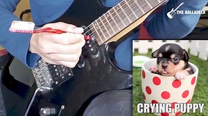 เสียงกีต้าร์น่ารักๆๆ | The ANT Guitar