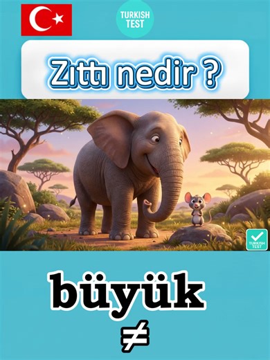 Türkçe Zıt Anlamlı Kelimeler