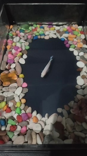 Masyaalloh Terimakasih,,, Sehat dan Berkah Selalu Ya Orang Baik... . .Join di Live Aku Setiap Hari Ya Teman-Teman #masyaallahtabarakkallah #soundviral #livetulisnamadiair #fyp