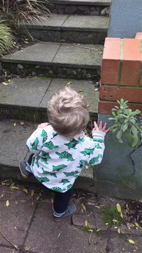 #CapCut #lewisham #malechildminder #alwayslookup #eyfs Taking the opportunity to enjoy the garden when the weather is good.