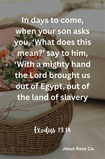 Catholic Bible Study | Exodus 13:14 | Jesus Rose Co. ✝️