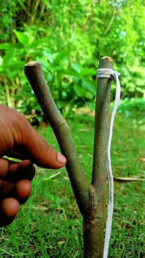 8.6K views · 50 reactions | Making a gun for hunting in the jungle #camping #bushcraft #survival #outdoors #SurvivalBogura | Survival Bogura | Facebook