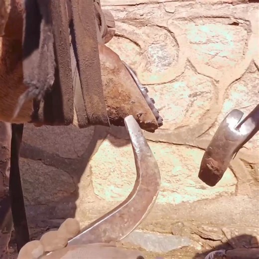 9.8K views · 47 reactions | Super stress relief! The owner prevented the cow's hoofs from becoming infected and ulcerated OLD #animal #horse #cow #donkey #hoofcare #satisfying #hoof #care #helping #farrier | Hoof Farrier | Facebook