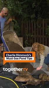 1.3K views · 15 reactions | 華Fancy dipping your toes into Garden...