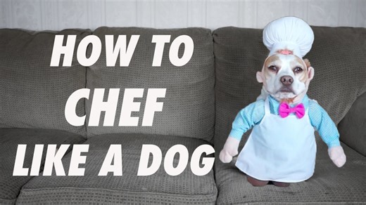Dog chefs it up in kitchen chaos like a pro