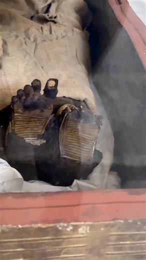 1.4M views · 17K reactions |  The Mummy of the Woman Wearing Golden...