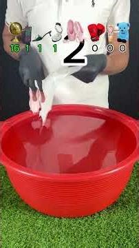 Float or Sink? Item Experiment! 💧⚙️