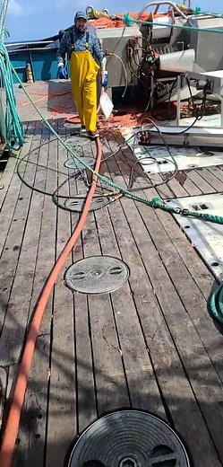 Commercial Shrimp Fishing Operations on a Fishing Boat