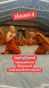 การปลงอาบัติ คือการทำใจให้ใส ก่อนจะรับพระธรรมวินัยให้เข้ามาได้เต็มที่ เหมือนคนจะใส่น้ำใหม่ ก็ต้องล้างแก้วเก่าก่อน ไม่งั้นน้ำใส ๆ ก็กลายเป็นน้ำขุ่น ปาติโมกข์ คืออะไร? ถ้าให้โยมเข้าใจง่าย ๆ คือ “กฎ 227 ข้อ” ของพระสงฆ์ เวลาสวดแต่ละบท เสียงก้องกังวาน ถ้าใครเคยนั่งในศาลาพระวัดป่าเวลาค่ำ ๆ อากาศเย็น ๆ หมอกลง เสียงพระสวดปาติโมกข์ มันจะขลังมาก “พอฟังปาติโมกข์จบ พื้นศาลาก็เบา ใจพระก็นุ่ม” เพราะได้ชำระทั้งกาย วาจา ใจ พร้อม ๆ กัน ขอสาธุการ🙏 #พระสิ้นคิด #หลวงตาสินทรัพย์_จรณธัมโม #ครูบาทุย #วัดป่าบ่อน้ำพระอ