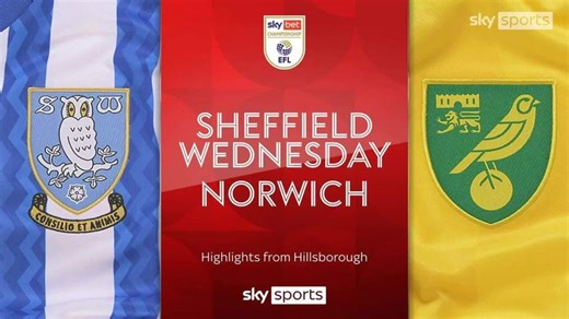Sheff Wed 2-0 Norwich: Josh Windass and Dominic Iorfa seal win for Owls