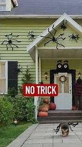 Shop Command™ Products this Halloween