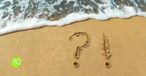 What is a Timeshare and How Does it Work?