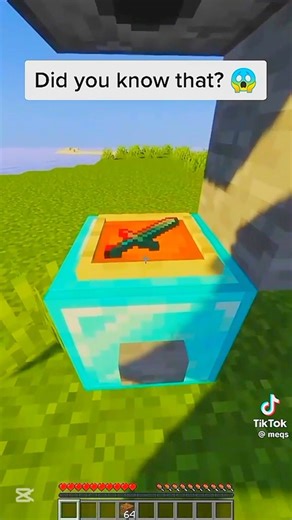 Testing Minecraft Viral TikTok Hack || TikTok Viral Hack || #minecraft #minecraftgamer #gaming