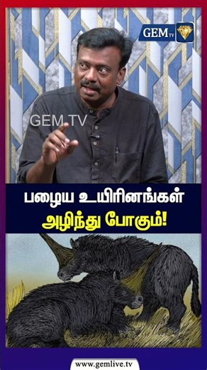 பழைய உயிரினங்கள் அழிந்து போகும்! Super El Nino | Vetriselvan Interview