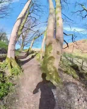 Dumyat Hill Race Course Preview 🏃‍♀️🏃‍♂️