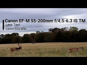 Canon EF-M 55-200mm Photo & Video Test