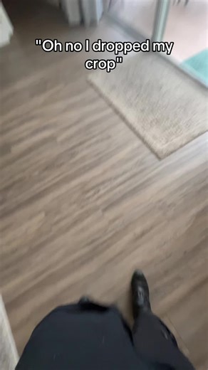 Discover My New Half Chaps for Equestrian Adventures