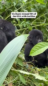 3.7K views · 298 reactions | Why Do You Have to Wear a Mask When...