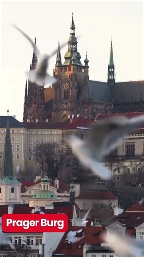72 Stunden in Prag