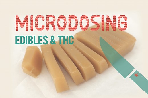 A Beginner’s Guide to Microdosing Edibles | Periodic Edibles