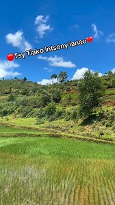 🎵 Taa tence | Janvier Premier