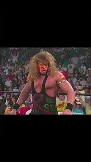 What championship in WCW did The Renegade capture?