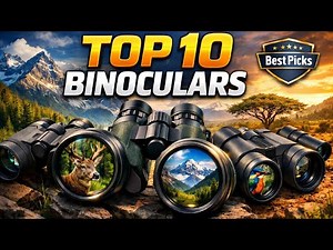 🔥Top 10 Best Binoculars You Should Buy🔥🔥 (Wildlife, Travel & Sports)