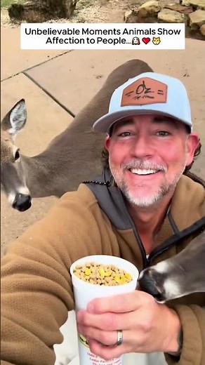 Animals Can Love Too.