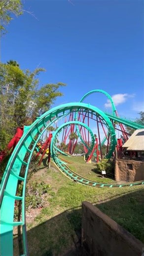 Kumba’s Interlocking Corkscrews #themepark #amusementpark #rollercoaster #coaster