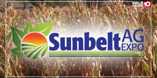 Going to the Expo? Here’s everything you need to know