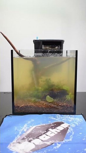 Nano set up part 4: CLARITY™!