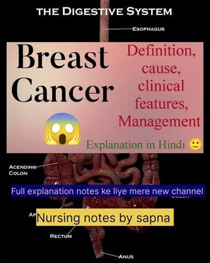 Anatomy of Human Digestive System (Medical Diagram)#DigestiveSystem