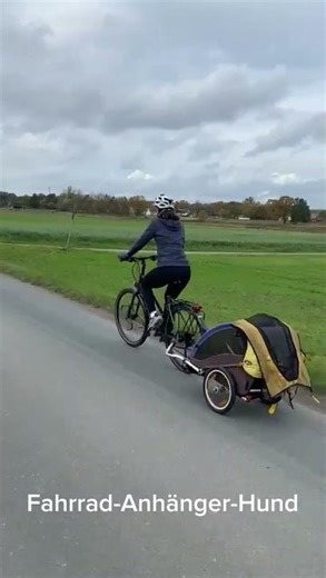 Fahrrad-Anhänger-Hund