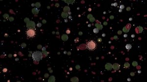 A deadly coronavirus bacterium under a microscope. Animation. Pathogen outbreak of bacterium and virus, disease causing microorganisms of coronavirus, tiny bacteria flowing on black background