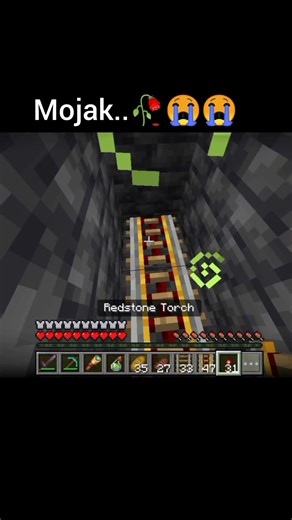 Mojang hates me😭#minecraft#popular